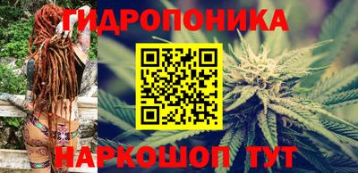 стафф Новодвинск