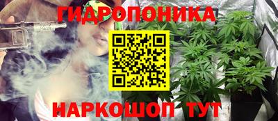 стафф Новодвинск