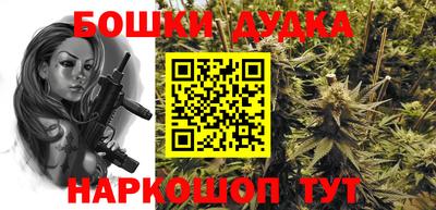 стафф Новодвинск